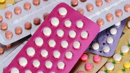 Contraception : le cerveau aussi prend la pilule