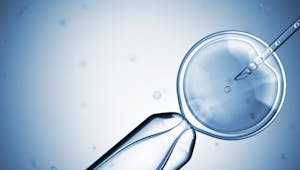 Pays-Bas : un gynécologue, père biologique de 17 enfants après avoir inséminé des ovules avec son sperme