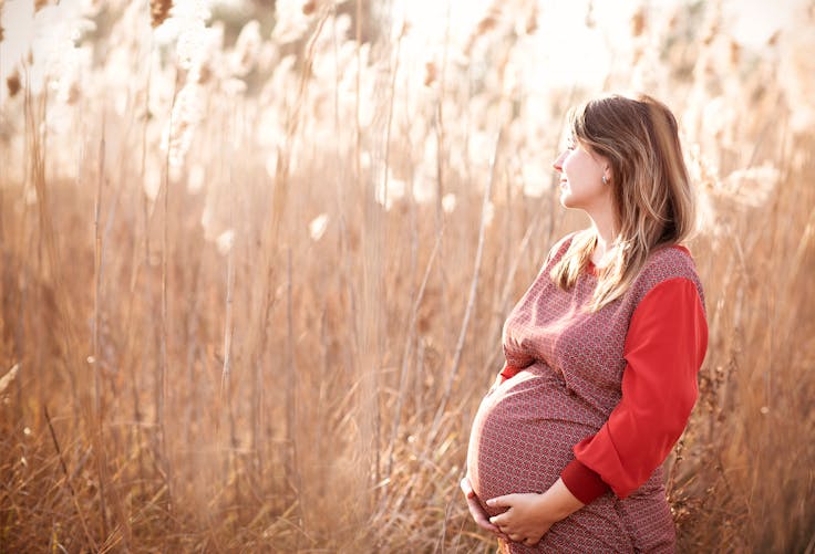 Grossesse : un lien entre les niveaux de vitamine D de la mère et le QI de l’enfant à naître