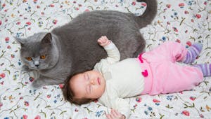  Prénom : une future maman veut appeler son bébé comme le chat de sa sœur ! 