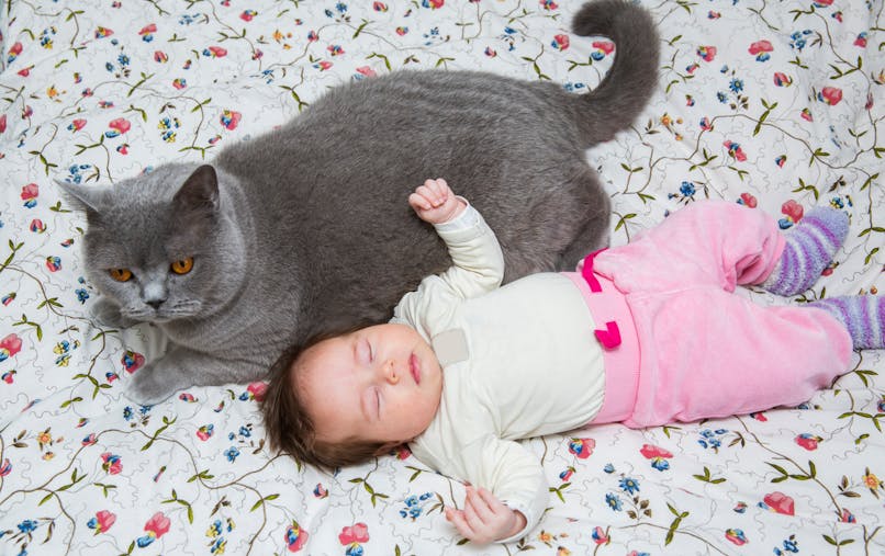 Prenom Une Future Maman Veut Appeler Son Bebe Dion Du Nom Du Chat De Sa Soeur Parents Fr Prenom Une Future Maman Veut Appeler Son Bebe Dion Du Nom Du Chat De Sa Soeur Parents Fr
