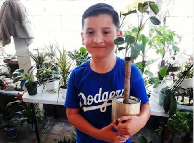 États-Unis : à 8 ans, il crée une mini-entreprise de vente de plantes pour aider sa famille en difficulté