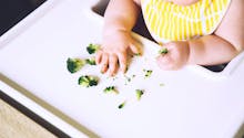 Alimentation de bébé : quand et comment introduire les morceaux ?