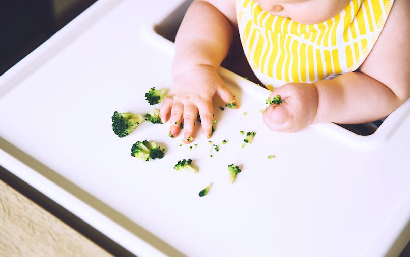 Alimentation De Bebe L Introduction Des Morceaux Parents Fr Alimentation De Bebe L Introduction Des Morceaux Parents Fr