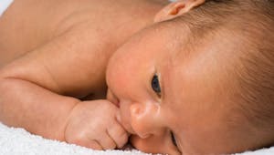 Bébé “poilu” à la naissance : zoom sur le lanugo
