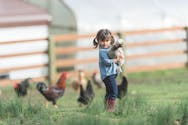 Crèches : Lyon va les végétaliser avec des poulaillers et des potagers