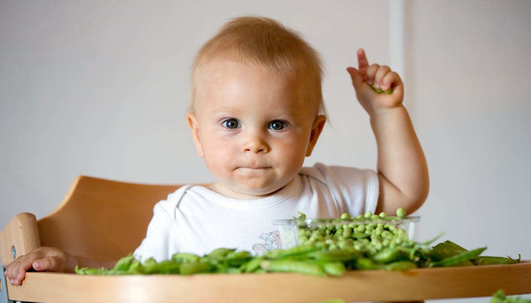 Alimentation De L Enfant Conseils Nutrition Et Recettes Parents Fr Alimentation De L Enfant Conseils Nutrition Et Recettes Parents Fr