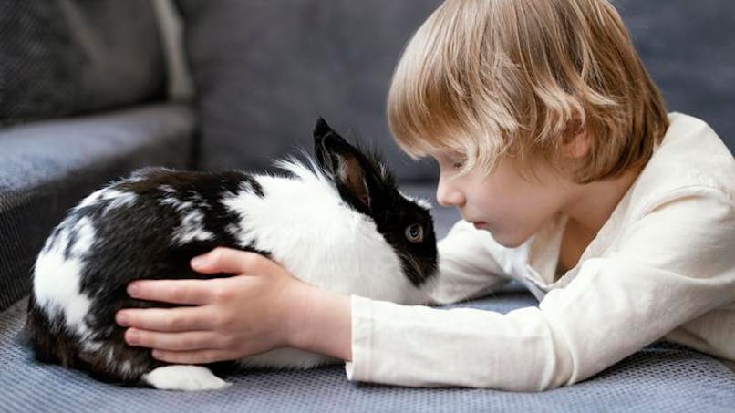 petit garçon avec un lapin