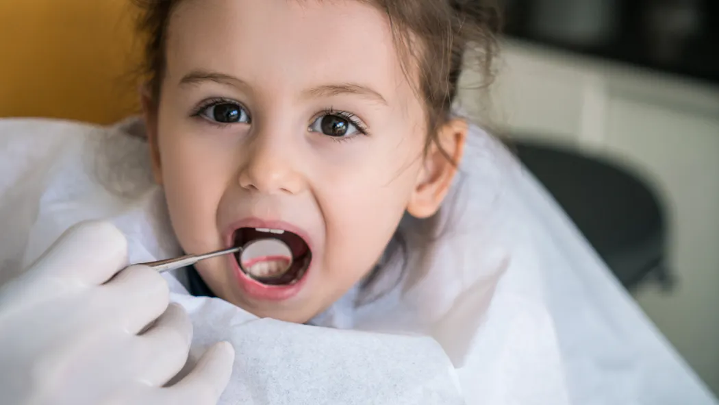 Hygiene Dentaire De Bebe Dents De Bebe Parents Fr Hygiene Dentaire De Bebe Dents De Bebe Parents Fr