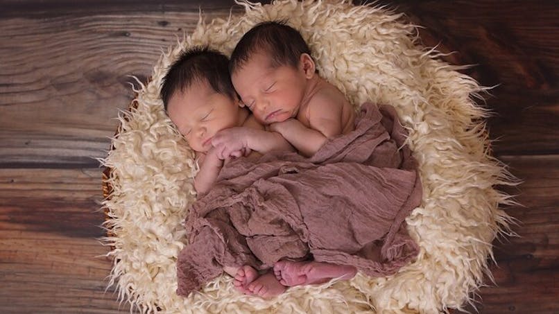 nouveaux-nés blottis l'un contre l'autre
