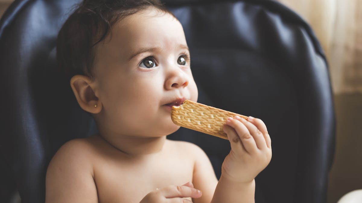 Quels Gateaux Peut On Donner A Bebe Parents Fr Quels Gateaux Peut On Donner A Bebe Parents Fr