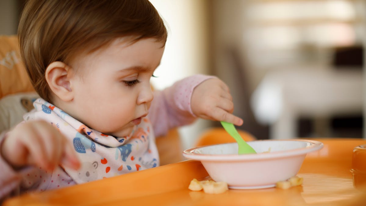 Tout Savoir Sur L Allergie Au Poisson Chez L Enfant Parents Fr Tout Savoir Sur L Allergie Au Poisson Chez L Enfant Parents Fr