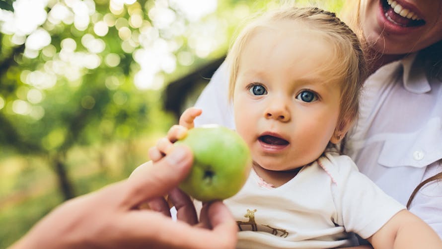 bébé à qui on donne une pomme