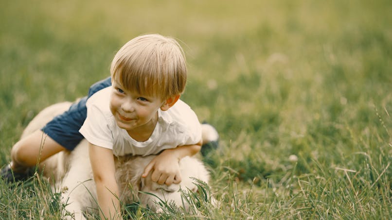 garçon couché sur un chien dans l'herbe