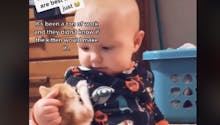 L'adorable vidéo d'un bébé et d'un chaton qui fascine plus de 2 millions internautes