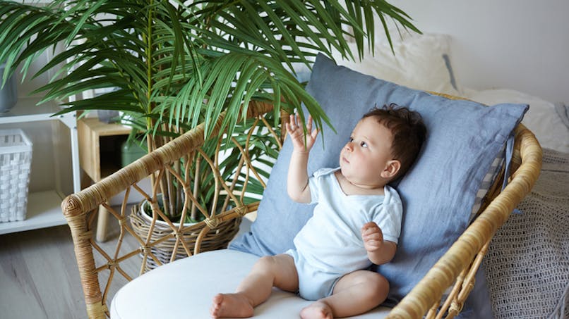 bébé assis sur un fauteuil touche une plante
