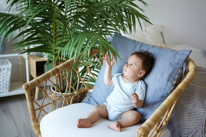 bébé assis sur un fauteuil touche une plante