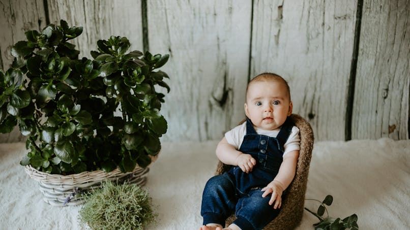 bébé dans mini fauteuil près d'une plante
