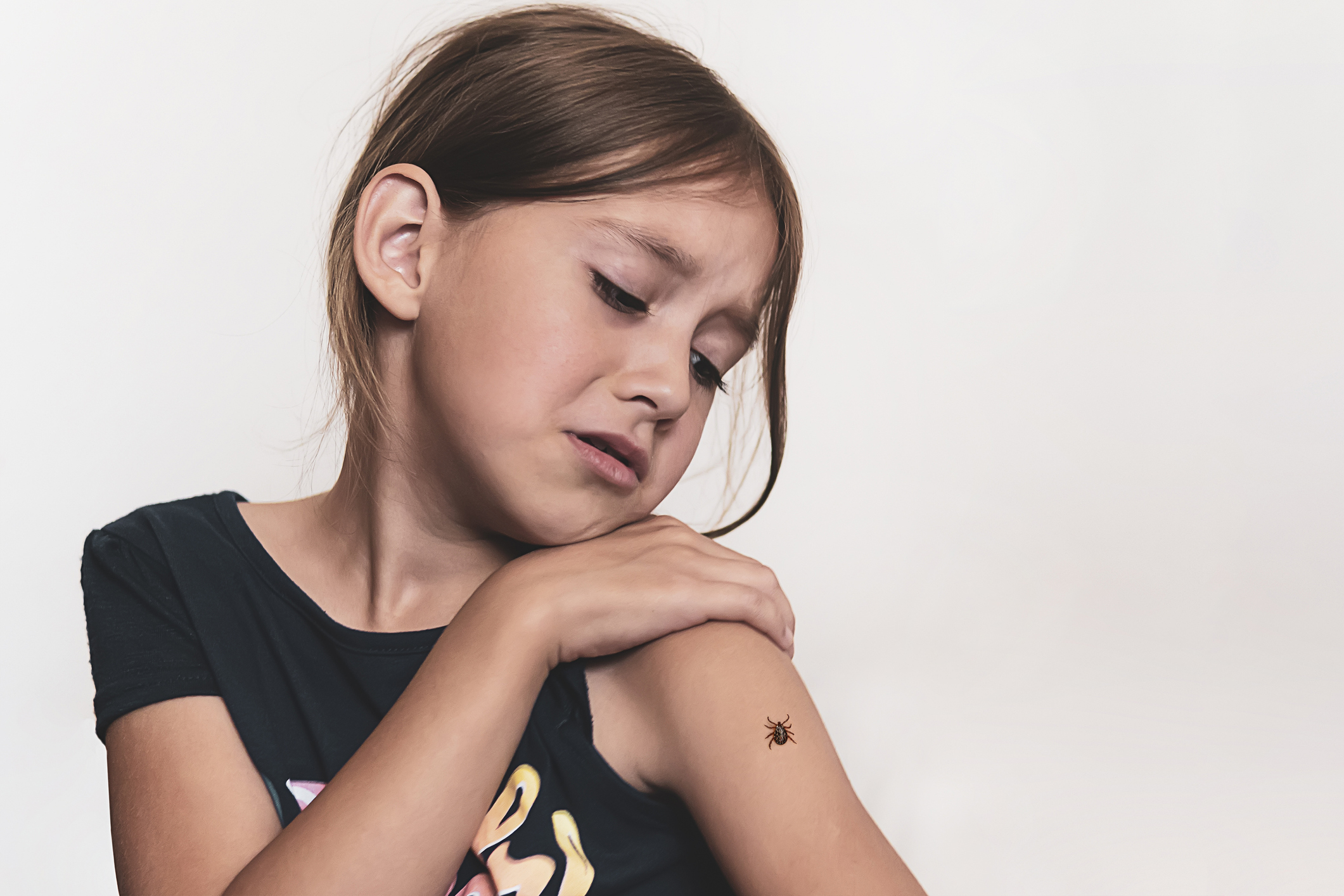 Tout Savoir Sur Comment Gerer Avec Une Bebe Une Infestation De Punaises De Lit Parents Fr