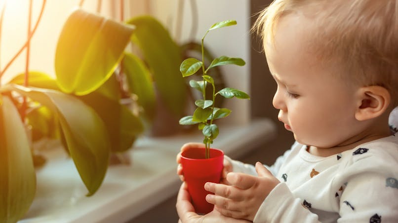 Bébé porte un mini pot de plante
