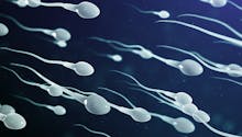 Le spermocytogramme, à quoi ça sert ?