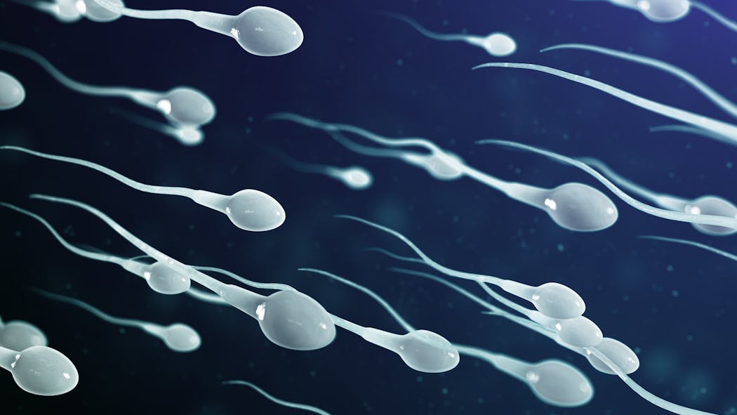 Le spermocytogramme, à quoi ça sert ?