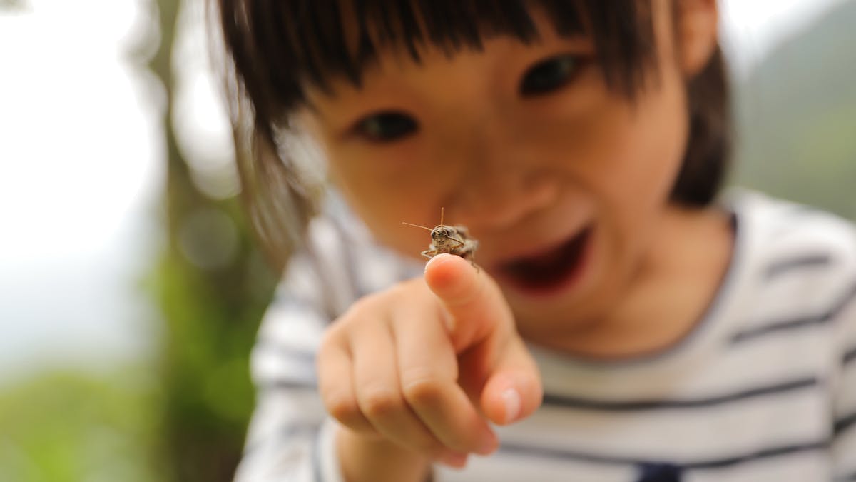 enfant insecte