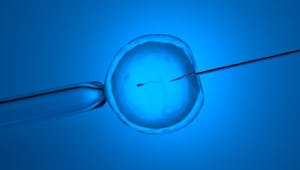 PMA : record de dons d’ovules et de spermatozoïdes en 2021 ! 