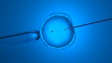 PMA : record de dons d’ovules et de spermatozoïdes en 2021 !