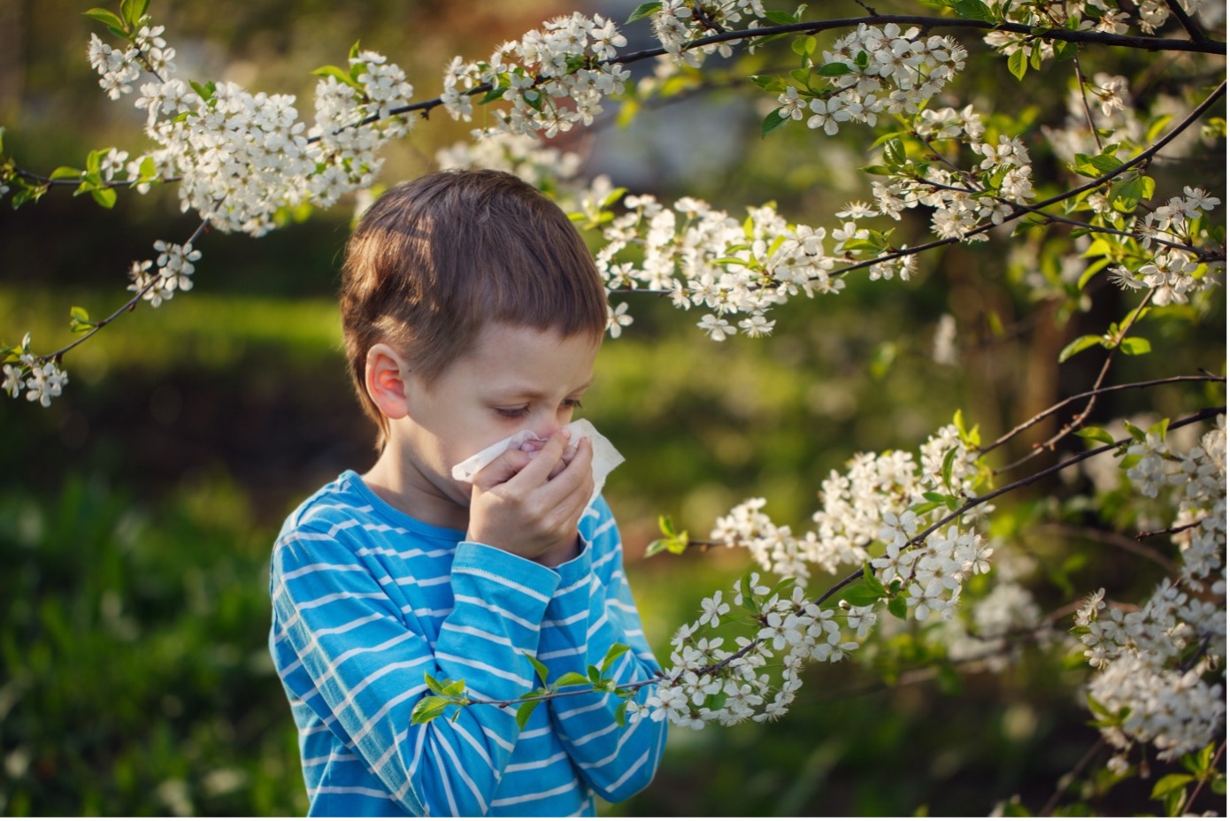 Allergies aux pollens causes, symptômes, traitements PARENTS.fr