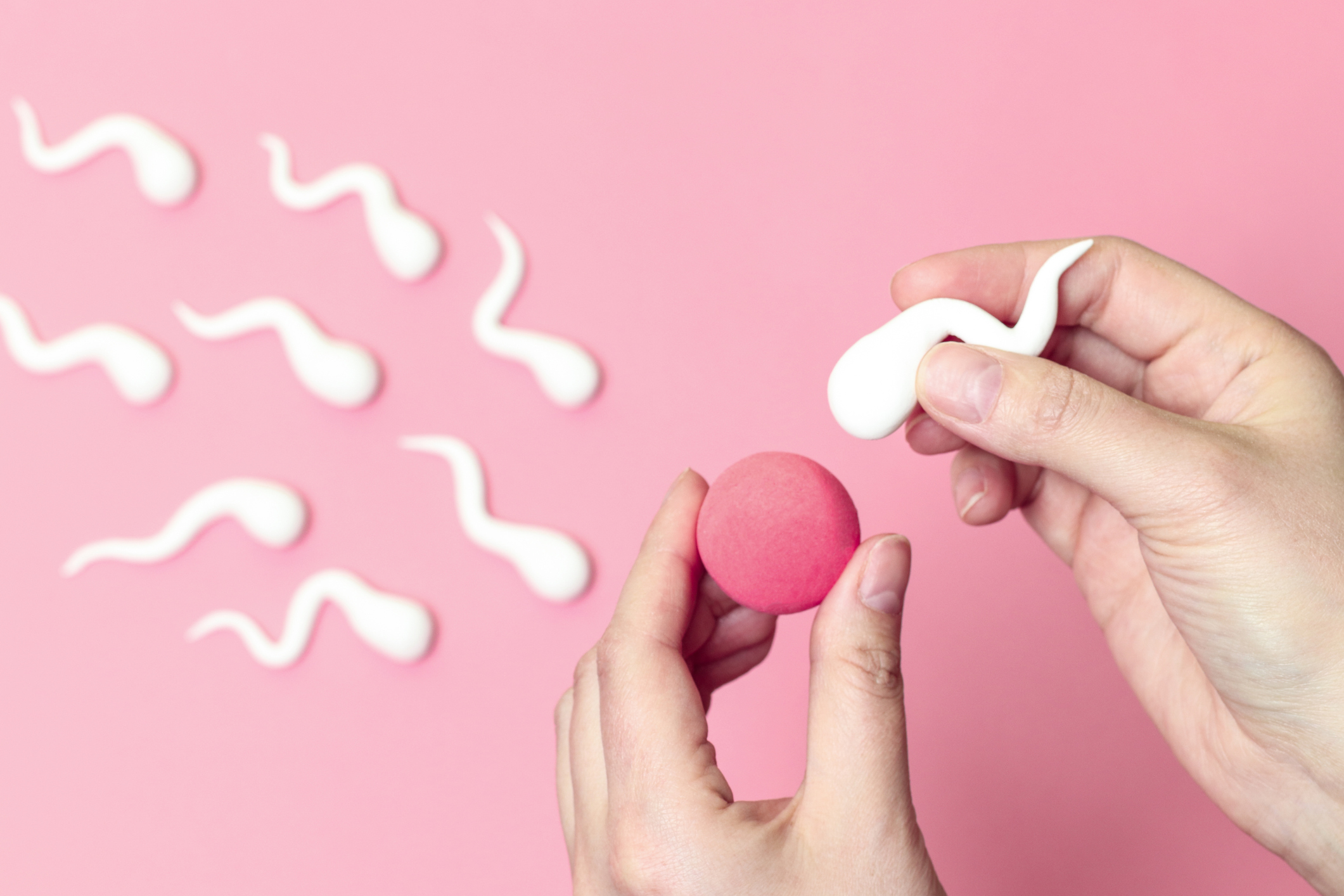 Insémination artisanale : comment faire et quels sont les risques