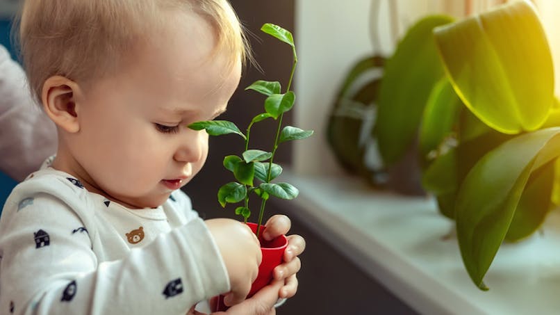 bébé avec plante