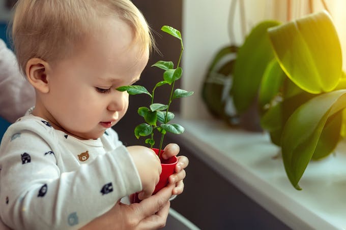 bébé avec plante