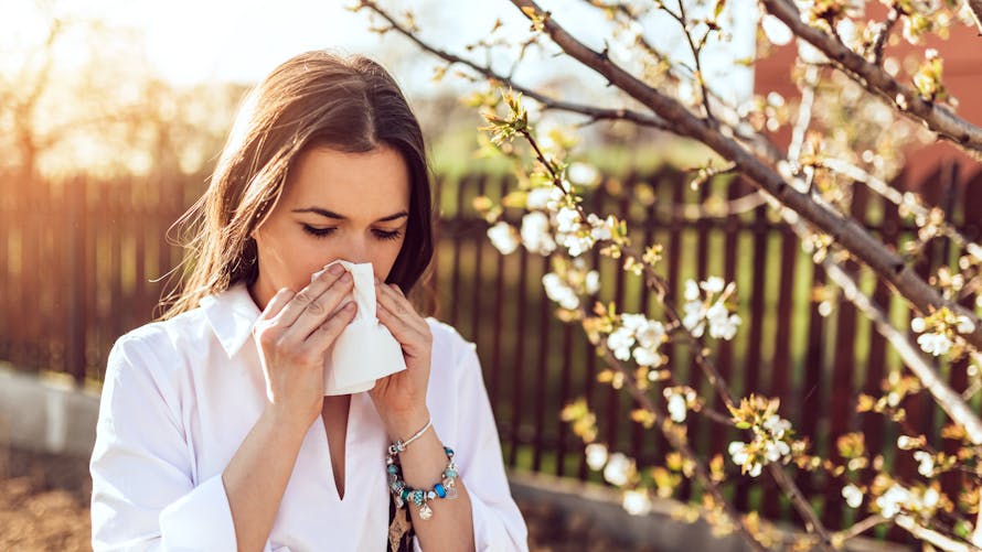 Allergies : retour des températures estivales et des pollens de graminées