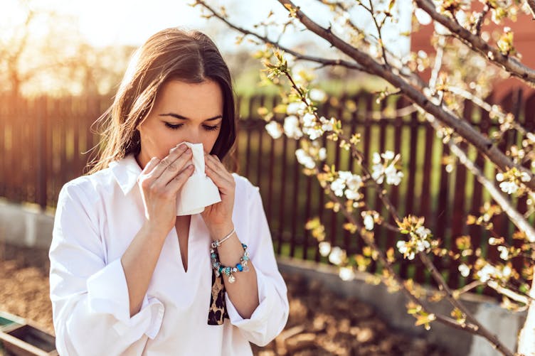 Allergies : retour des températures estivales et des pollens de graminées