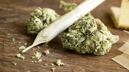  Drogue : une fratrie âgée de 3 à 9 ans positive à la cocaïne et au cannabis 