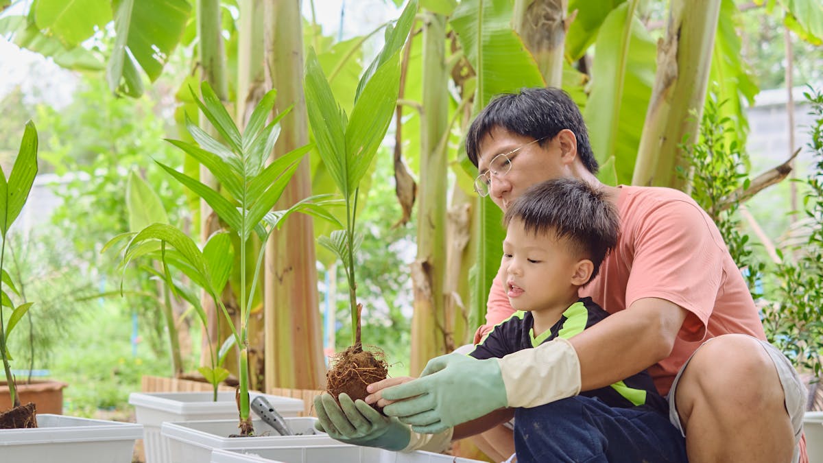 Un père apprend à son enfant à prendre soin d'une plante.