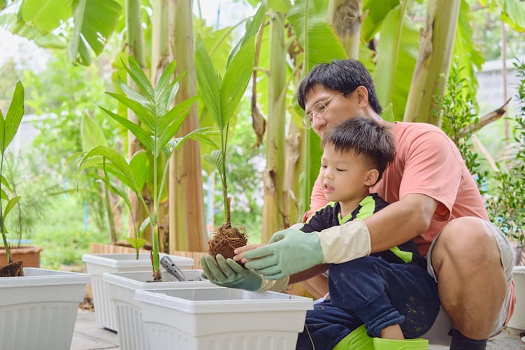 Un père apprend à son enfant à prendre soin d'une plante.