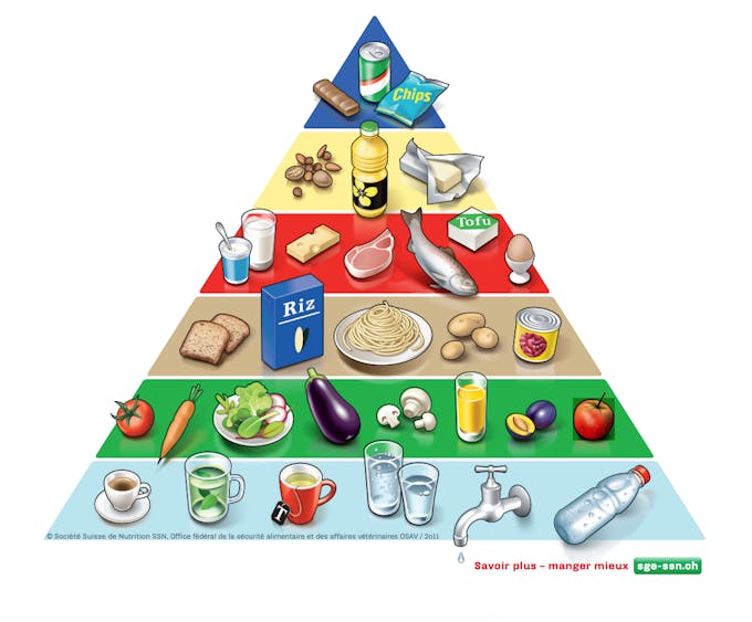 La pyramide alimentaire pour une femme enceinte en image