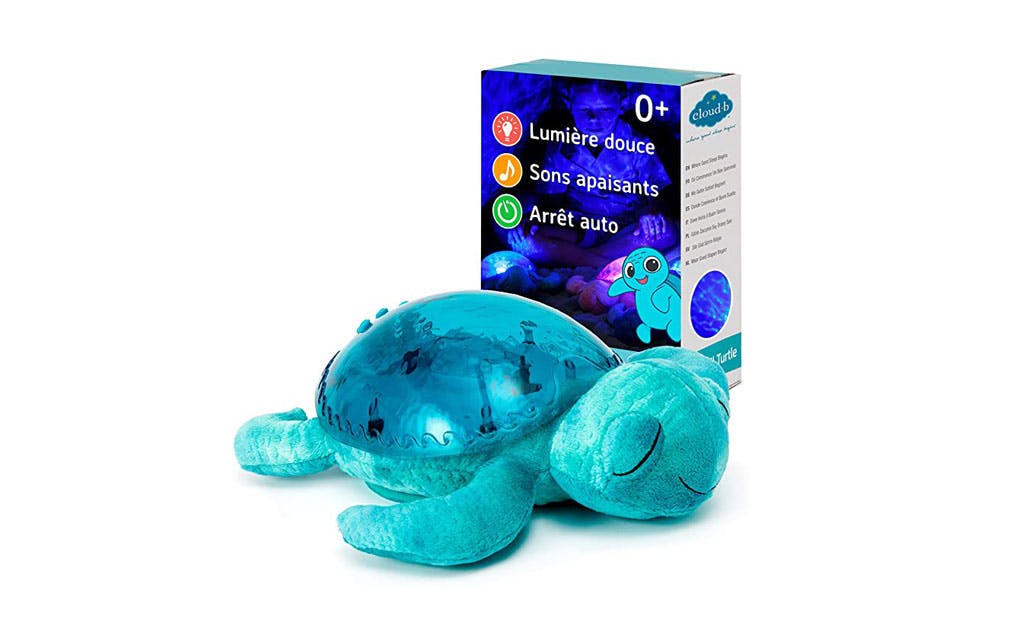 calm turtle