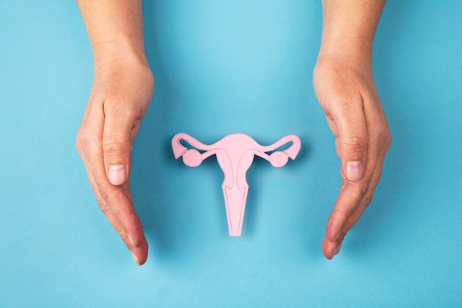 Dépistage du cancer du col de l'utérus : le frottis cervico-utérin chez votre gynécologue