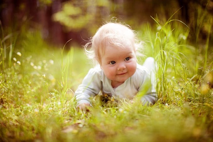 bébé quatre pattes dans herbe