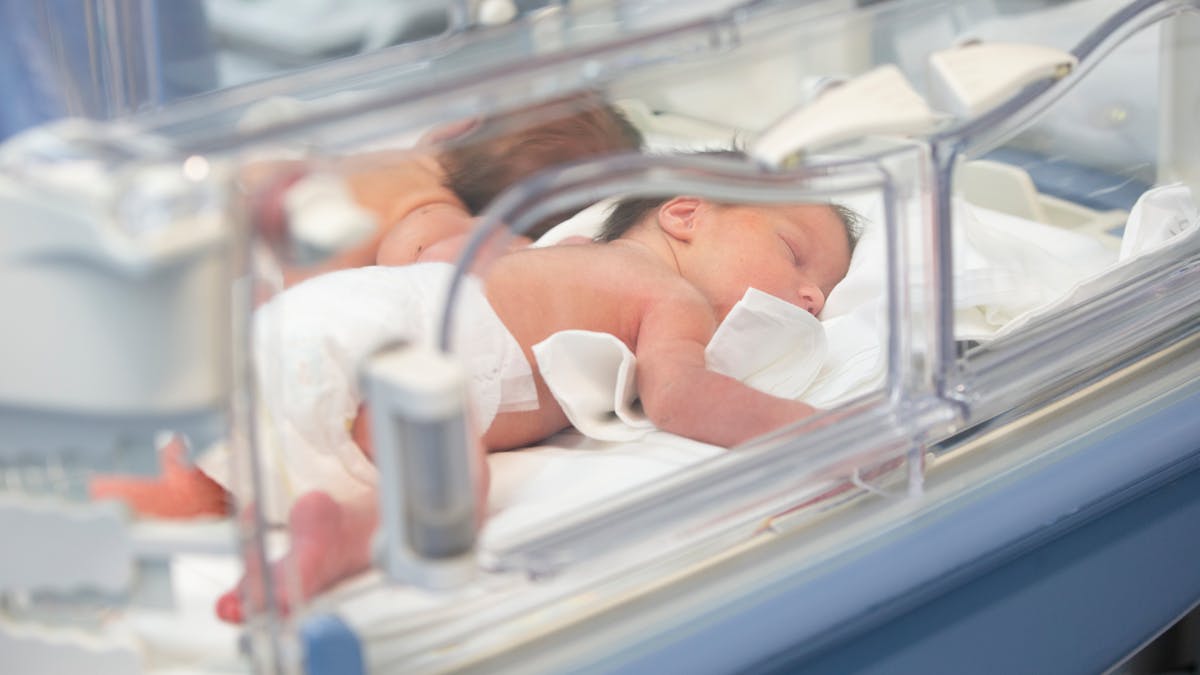 Des nourrissons en couveuse dans un service de néonatalogie