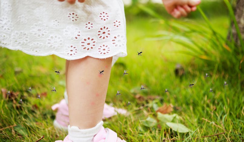 Bébé a été piqué par un insecte : que faire ?