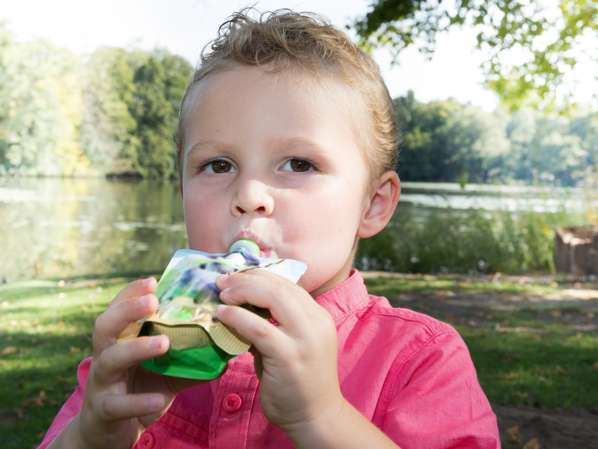 Un lot de compote gourde fait l'objet d'un rappel pour toxicité, ainsi