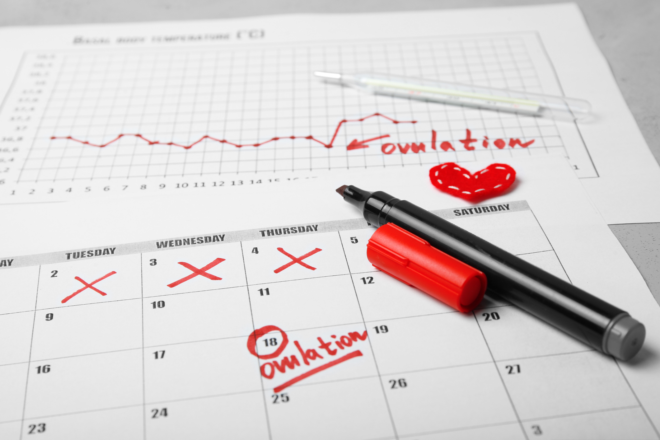 Peuton tomber enceinte hors période d’ovulation ? Parents