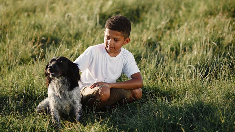 garçon avec son chien dans l'herbe