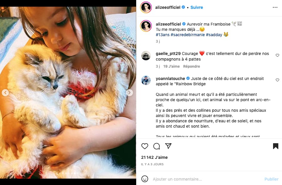 Alizée rend hommage à son chat avec cette adorable photo de la petite Maggy