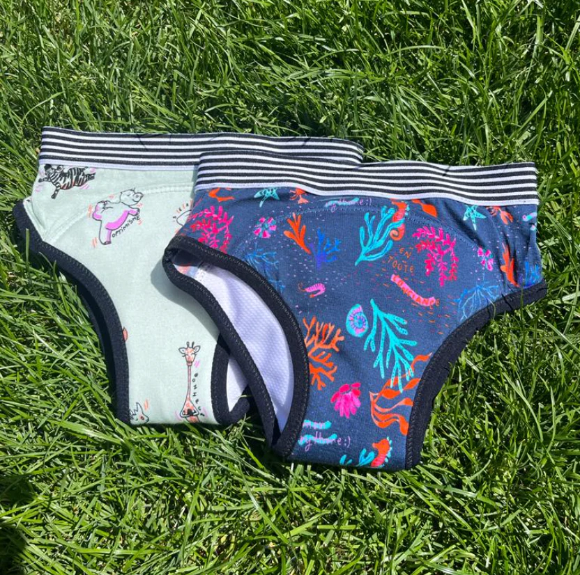 Culotte Apprentissage Propreté Garcon 10 Paquets, Culotte Apprentissage