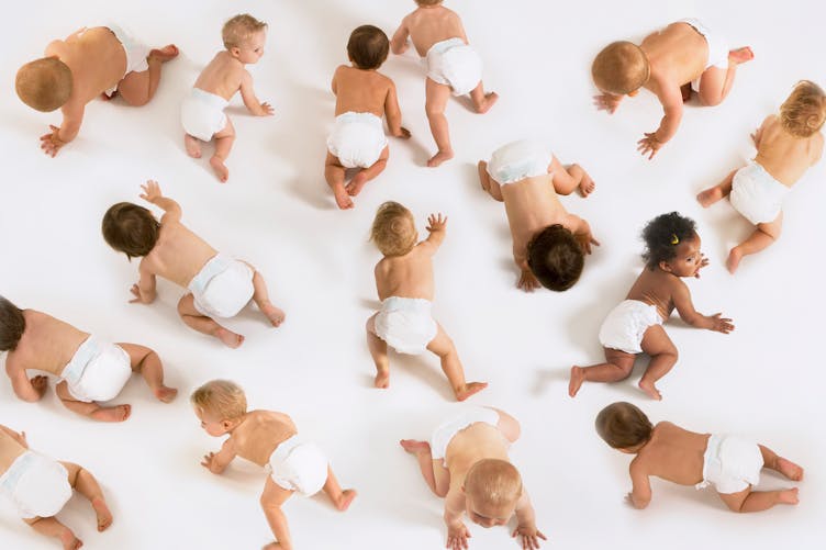 De nombreux bébés, vus d'en haut, rampent sur un fond blanc.